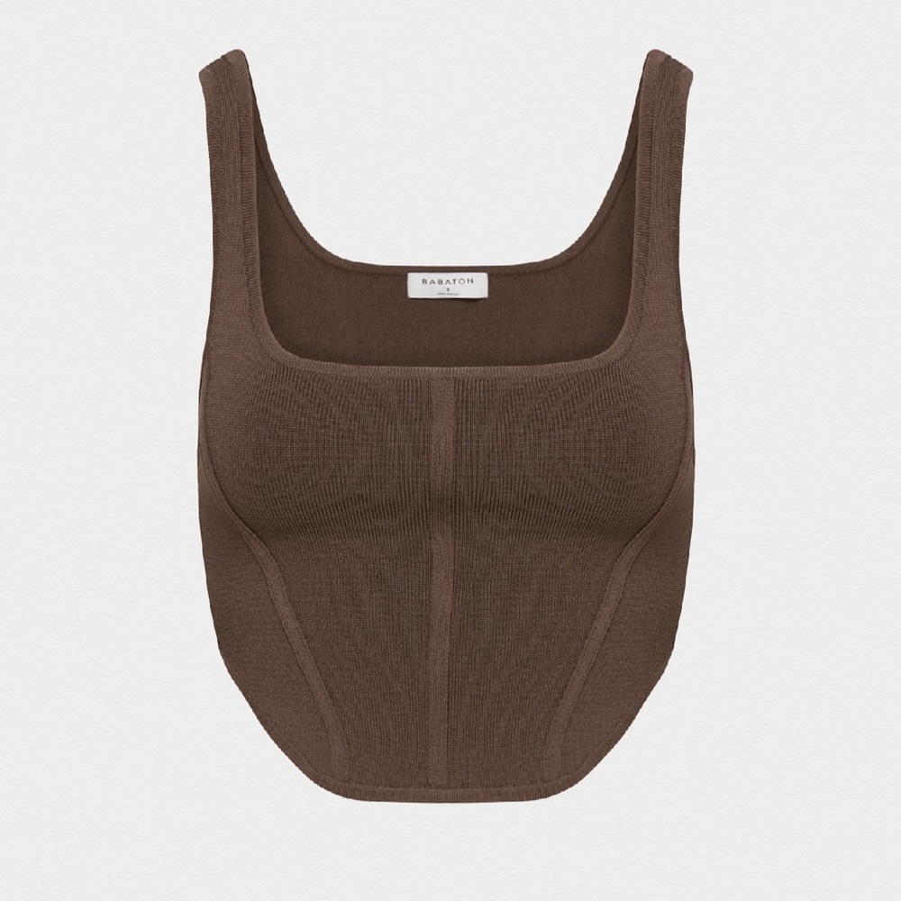Aritzia Babaton Sculpt Knit Bustier Tank in Brown